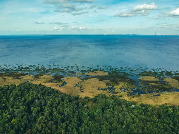 Foto aérea del Golfo de Finlandia, playa de arena, bosque. Rusia, San Petersburgo, Peterhof — Foto de Stock