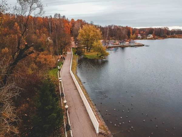 Повітряний вид йде вздовж озера, барвистий осінній ліс. Санкт - Петербург, Росія. — стокове фото