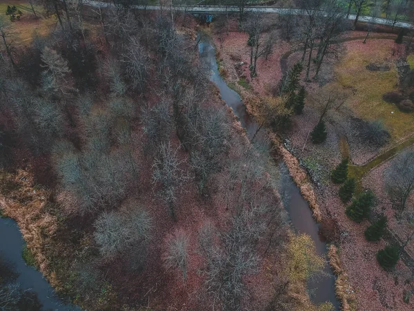 Luftaufnahme des Geländes rund um den Burgbip. 01.11.2019 russland, saint-petersburg, pavlovsk — kostenloses Stockfoto