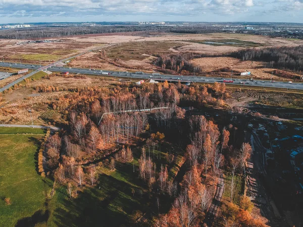 Ариэль вид на осенний лес. Россия, Санкт-Петербург — стоковое фото