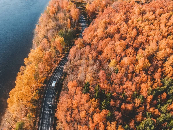 숲 속의 아침 조명에 공중에서 찍은 사진. 아름다운 나무들 과푸른 호수 가 위에서 굽이 치는 도로를 이루고 있다. 러시아, 상트페테르부르크 — 스톡 사진