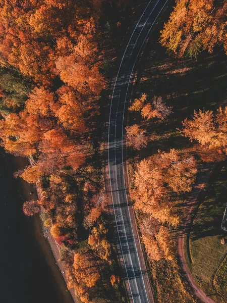 Widok z lotu ptaka w pięknym, jesiennym lesie. Piękny krajobraz z pustą wiejską drogą, drzewa z czerwonymi i pomarańczowymi liśćmi. Autostrada przez park. Widok z latającego drona. Rosja, Sankt Petersburg — Zdjęcie stockowe