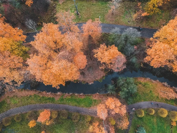 Luftaufnahme vom Herbstpark in den Vororten der Stadt. St. Petersburg, Russland. — Stockfoto