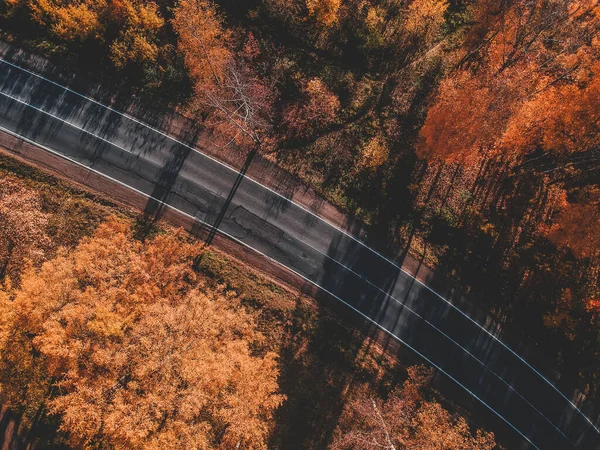 Pemandangan udara jalan di hutan musim gugur yang indah. Pemandangan indah dengan jalan pedesaan kosong, pohon dengan daun merah dan oranye. Jalan raya melalui taman. Pemandangan dari pesawat tak berawak. Rusia, St. Petersburg — Foto Stok Gratis