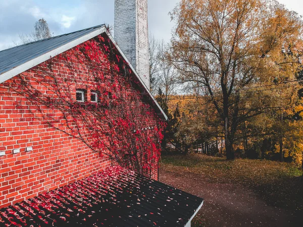 숲 과맞닿아 있는 집의 파이프와 벽을 공중에서 바라본다. 드론에서 찍은 사진입니다. Finland, Pornainen. — 스톡 사진