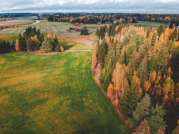 Повітряний вид на родючі оранжеві поля та ліси. Фото зроблене з дрону. Фінляндія, Порнаїнен. — стокове фото