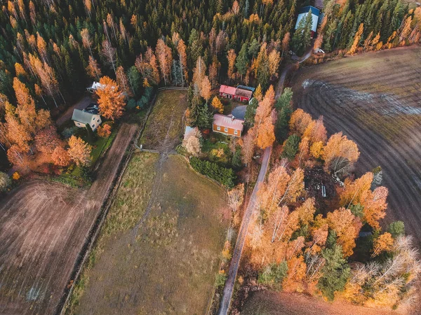 Vedere aeriană a pădurii de toamnă cu case de țară și grădini. Fotografie făcută dintr-o dronă. Finlanda, Pornainen — Fotografie de stoc gratuită