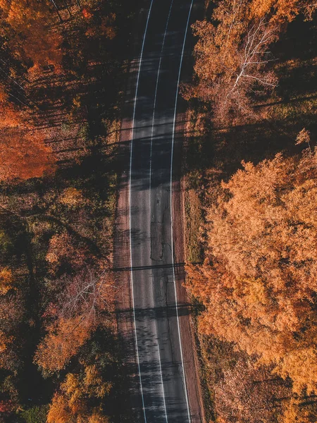 Vedere aeriană a drumului în frumoasa pădure de toamnă. Peisaj frumos cu drum rural gol, copaci cu frunze roșii și portocalii. Autostrada prin parc. Vedere de la drona zburătoare. Rusia, Sankt Petersburg — Fotografie, imagine de stoc