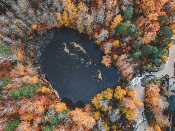 Widok z lotu ptaka na piękne jezioro w środku lasu. Zdjęcie zrobione dronowi. Finlandia, Pornainen. — Darmowe zdjęcie stockowe