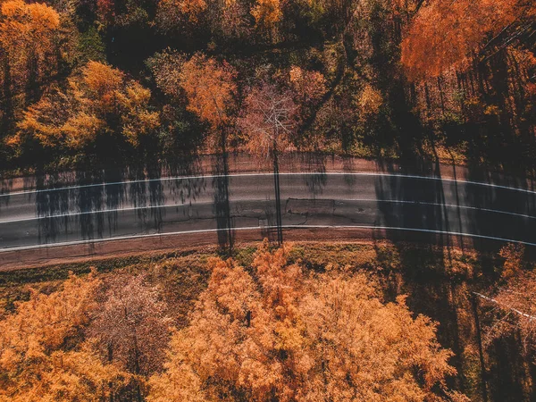 Вид с воздуха на дорогу в красивом осеннем лесу. Красивый пейзаж с пустой сельской дорогой, деревья с красными и оранжевыми листьями. Шоссе через парк. Вид с летающего дрона. Russia, Saint Petersburg — стоковое фото