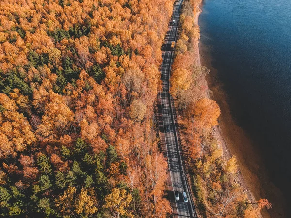 숲 속의 아침 조명에 공중에서 찍은 사진. 아름다운 나무들 과푸른 호수 가 위에서 굽이 치는 도로를 이루고 있다. 러시아, 상트페테르부르크 — 스톡 사진
