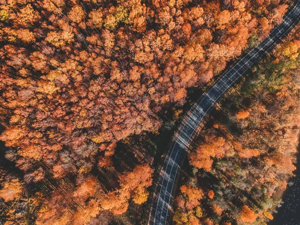 Pemandangan udara hutan lebat di musim gugur dengan jalan yang memotong. Rusia, St. Petersburg — Stok Foto