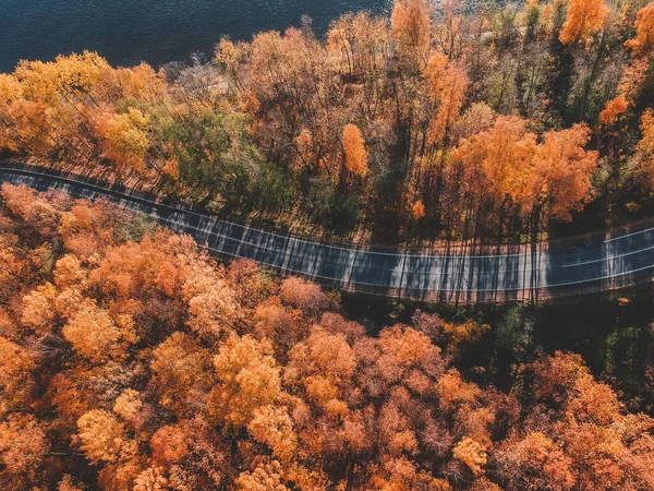 Vista aérea de floresta espessa no outono com corte de estrada. Rússia, São Petersburgo — Fotografia de Stock