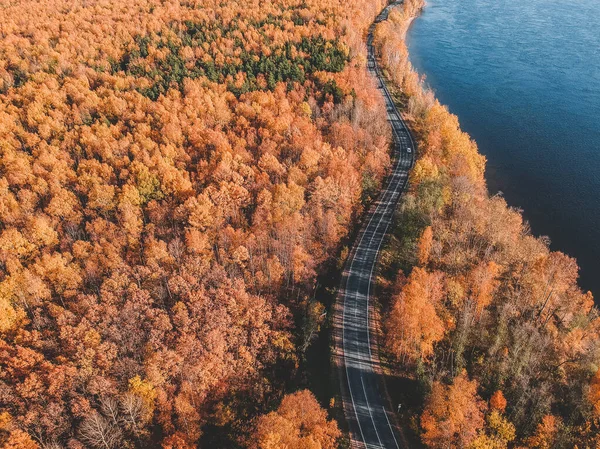 Vista aérea nas luzes da manhã na floresta. Árvores coloridas e lago azul de cima, estrada sinuosa. Rússia, São Petersburgo — Fotografia de Stock