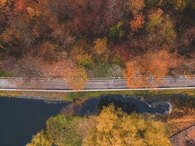 Göl boyunca hava manzaralı yürüyüş yolu, renkli sonbahar ormanı. St. Petersburg, Rusya.