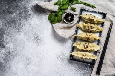 Seramik tabakta Dim sum buğulama. Gri arka plan. Üst Manzara. Metin için boşluk.