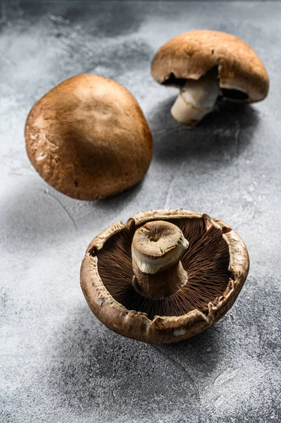 Rohe Steinpilze. Bio-Lebensmittel vom Bauernhof. grauer Hintergrund. Ansicht von oben — Stockfoto