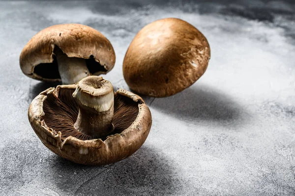 Champignons crus de Portobello. Aliments biologiques de ferme. Fond gris. Vue du dessus — Photo