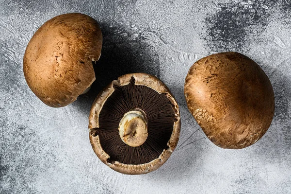 Rohe Steinpilze. Bio-Lebensmittel vom Bauernhof. grauer Hintergrund. Ansicht von oben — Stockfoto