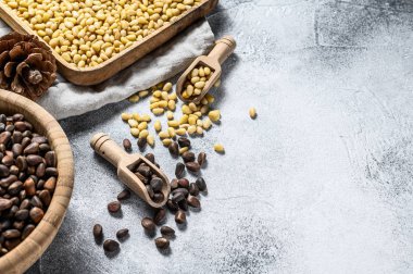 Çam fıstığı soyulmuş ve kabuğunda. Gri arka plan. Üst Manzara. Metin için boşluk