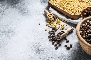 Çam fıstığı soyulmuş ve kabuğunda. Gri arka plan. Üst Manzara. Metin için boşluk