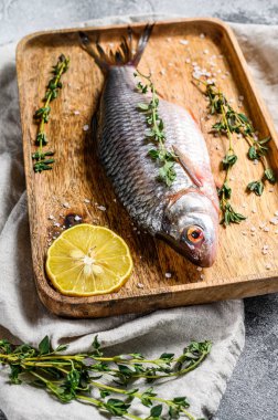 Ahşap tepside çiğ sazan balığı. Nehir organik balığı. Gri arka plan. Üst görünüm