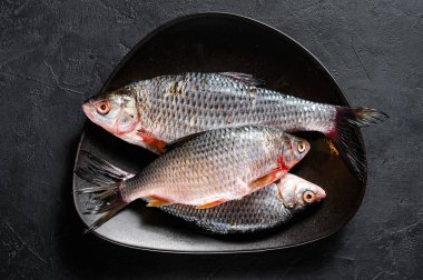 Siyah tabakta çiğ sazan balığı. Nehir organik balığı. Siyah arka plan. Üst görünüm