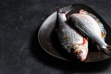 Siyah tabakta çiğ sazan balığı. Nehir organik balığı. Siyah arka plan. Üst Manzara. Metin için boşluk