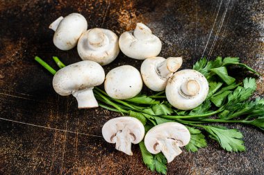 Mantar şampiyonu. Karanlık arka plan. Üst görünüm