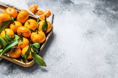 Ahşap bir kasede yaprakları olan taze mandalina ve portakal. Gri arka plan. Üst Manzara. Metin için boşluk