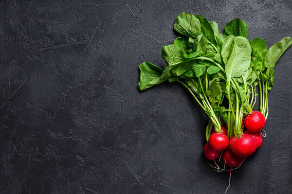 large bunch of fresh radish. Black background. Top view. Space for text