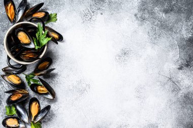 Çiğ taze midye. Gri arka plan. Üst Manzara. Metin için boşluk