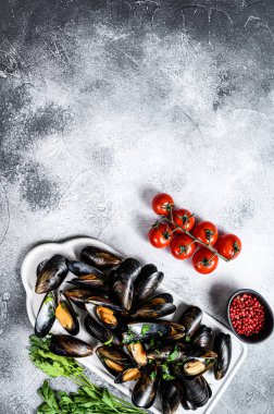 Kabuklu taze pişmemiş midye. Maydanozlu domates sosu pişirme fikri. Gri arka plan. Üst Manzara. Metin için boşluk