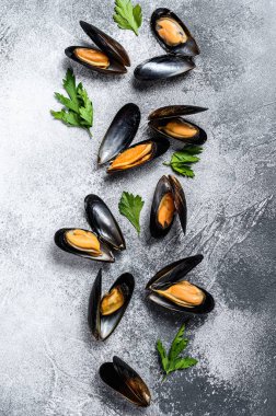 Çiğ taze midye. Gri arka plan. Üst Manzara. Metin için boşluk