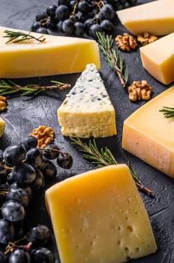 Cevizli ve üzümlü peynirin farklı türleri. Siyah arka plan. Üst görünüm