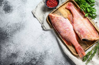 Çiğ kızıl deniz levreği. Gri arka plan. Üst Manzara. Metin için boşluk