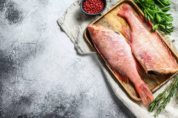 Çiğ kızıl deniz levreği. Gri arka plan. Üst Manzara. Metin için boşluk