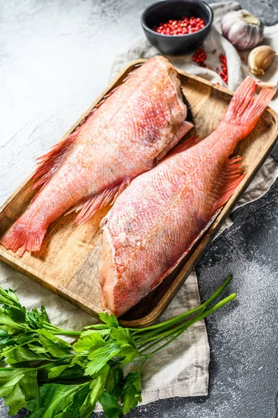 Persico marino rosso crudo. Sfondo grigio. Vista dall'alto — Foto Stock