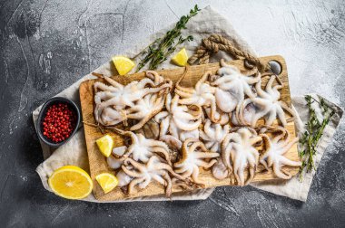 Tahta bir kasede kekik ve limonlu çiğ ahtapot. Organik deniz ürünleri. Gri arka plan. Üst görünüm
