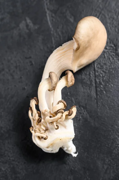 生牡蛎蘑菇。 有机食品。 黑色背景。 顶部视图 — 图库照片