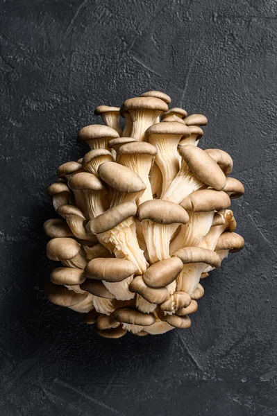 Raw oyster mushrooms. Organic food. Black background. Top view