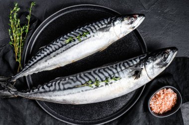 Çiğ uskumru balığı, kekik ve pembe tuz. Taze deniz ürünleri. Siyah arka plan. Üst görünüm