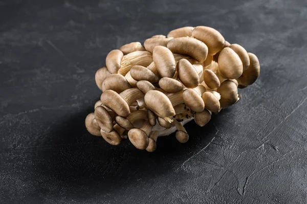 Raw oyster mushrooms. Organic food. Black background. Top view