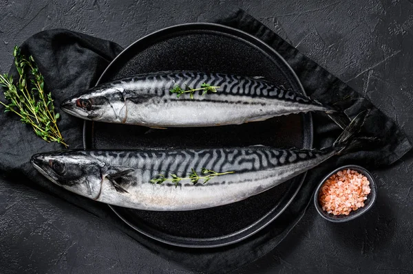 Makrelenfisch mit Thymian und rosa Salz. frische Meeresfrüchte. schwarzer Hintergrund. Ansicht von oben — Stockfoto