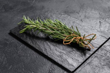 Siyah arka planda bir biberiye filizi. Mesaj için yer var. Et için baharatlar.