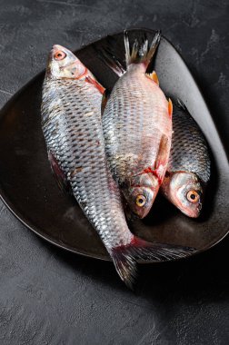 Siyah tabakta çiğ sazan balığı. Nehir organik balığı. Siyah arka plan. Üst görünüm