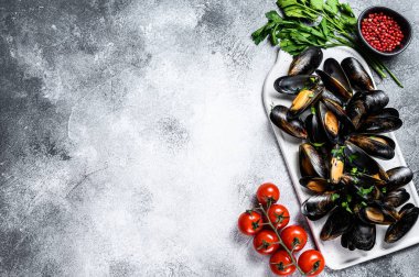 Kabuklu taze pişmemiş midye. Maydanozlu domates sosu pişirme fikri. Gri arka plan. Üst Manzara. Metin için boşluk