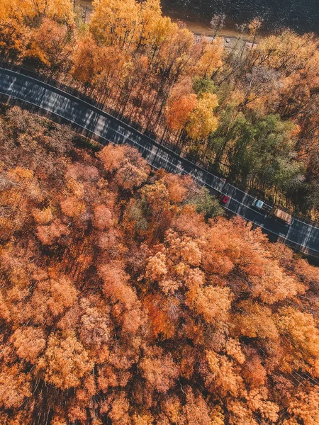 Sonbaharda sık ormanın havadan görünüşü ve yol kesimi. Rusya, St. Petersburg — Stok fotoğraf