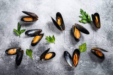 Çiğ taze midye. Gri arka plan. Üst Manzara. Metin için boşluk