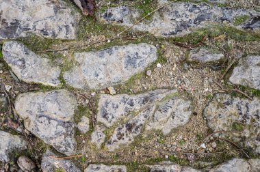 Çimenli eski taş kaldırım dokusu. Barselona, İspanya. Katalonya